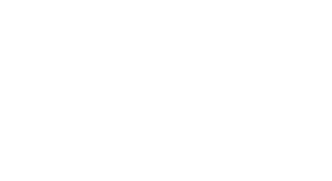 dcm services logo white